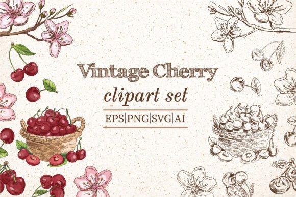 Vintage Cherry Clipart Set PNG SVG EPS